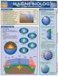Marine Biology - main view