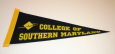 CSM Pennant - Small