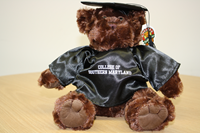 Graduation Bear