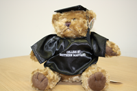 Graduation Bear