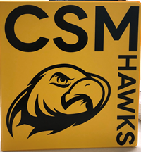CSM 1.5" Hawks Binder