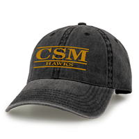 The Game Hawks Cap