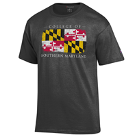 Champion Maryland Flag Tee