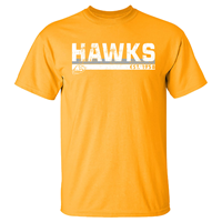 MV Sport Hawks Icon Tee